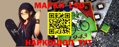 стафф Донской