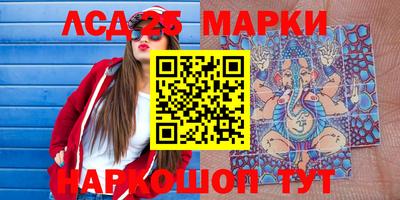стафф Донской