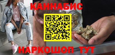 стафф Донской