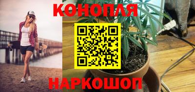 spice Дубна