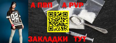 стафф Донской