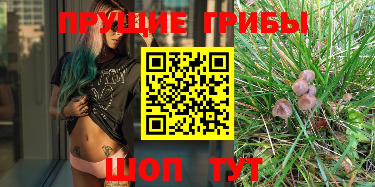 Галлюциногенные грибы GOLDEN TEACHER  Псилоцибиновые грибы MAGIC MUSHROOMS  Вход с VPN  Набережные Челны 
