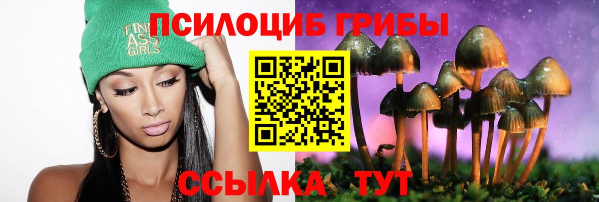 Псилоцибиновые грибы мухоморы Набережные Челны